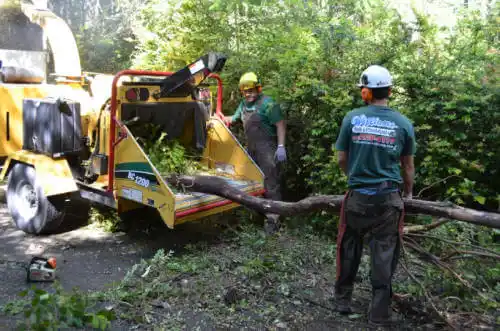 tree services Pensacola